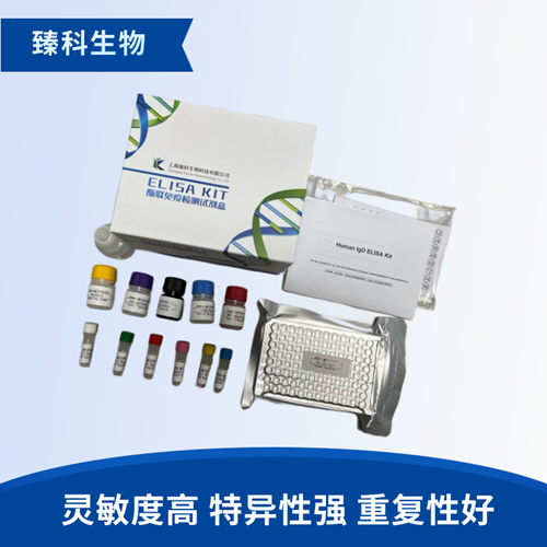 大鼠白介素6抗体(IL-6 Ab）elisa试剂盒