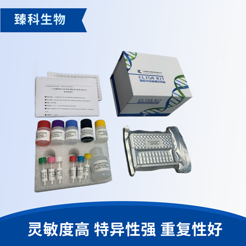 大鼠血管紧张素Ⅱ受体1(AT1R）elisa试剂盒