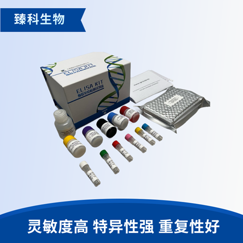 大鼠胸腺五肽(TP-5）elisa试剂盒