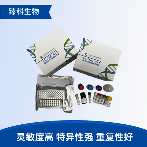大鼠食道癌相关基因4蛋白(ECRG4）elisa试剂盒