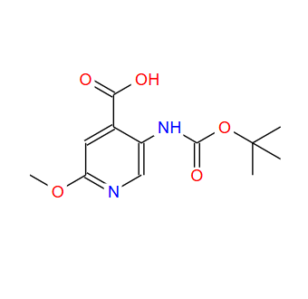 5-(叔丁氧基羰基氨基)-2-甲氧基吡啶-4-羧酸；183741-86-8；5-(TERT-BUTOXYCARBONYLAMINO)-2-METHOXYPYRIDINE-4-CARBOXYLIC ACID