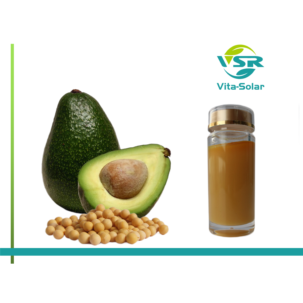 鳄梨大豆未皂化物