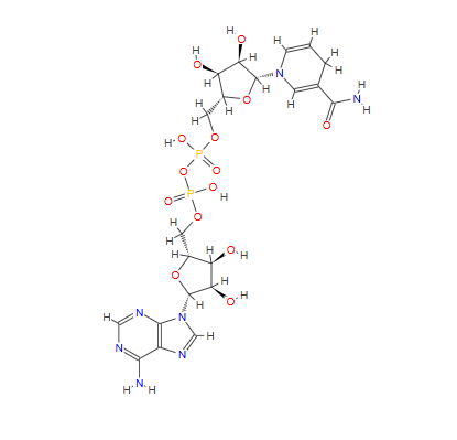 β-烟酰胺腺嘌呤二核苷酸二氢还原型