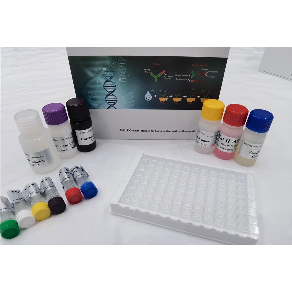 人金属肽酶含血小板反应蛋白7(ADAMTS7)ELISA试剂盒