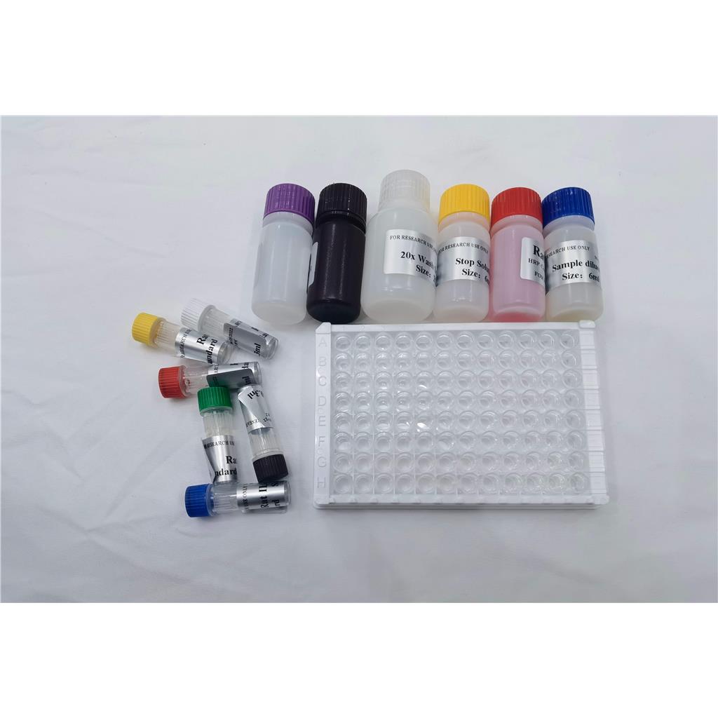 人金属肽酶含血小板反应蛋白7(ADAMTS7)ELISA试剂盒