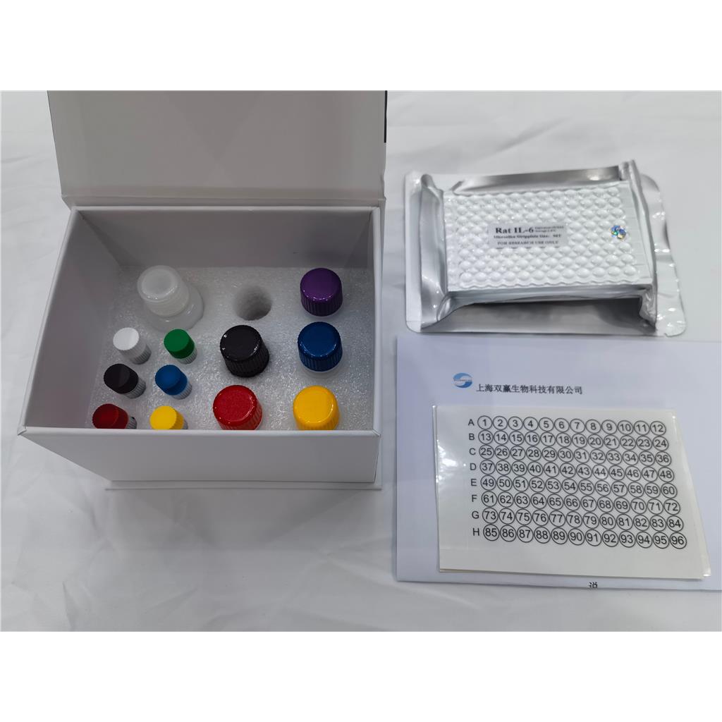 人基质金属蛋白酶(MMP)ELISA试剂盒