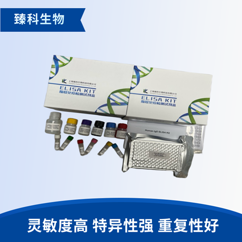 大鼠谷胱甘肽硒过氧化酶3(GSPx-3）elisa试剂盒