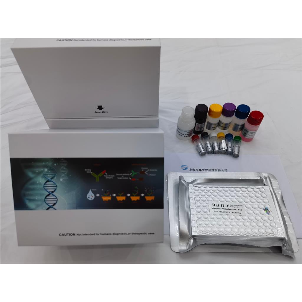 人基质金属蛋白酶(MMP)ELISA试剂盒