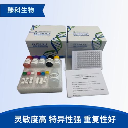 人抗单链DNA抗体/变性DNA抗体(ssDNA）elisa试剂盒