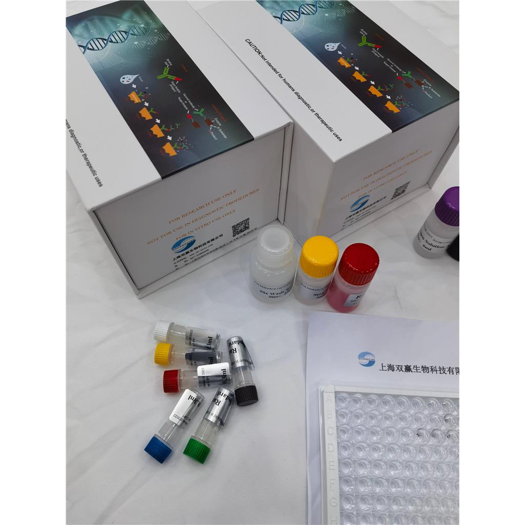 人淀粉样蛋白(14-15-D H)ELISA试剂盒