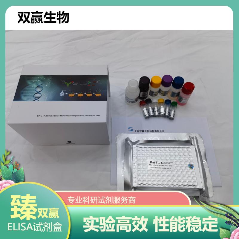 人抗胆碱能受体M2抗体(AM2CRAb)ELISA试剂盒