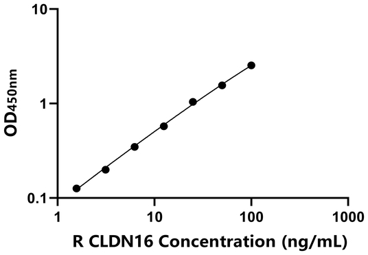 CLDN16 ELISA KIT / 大鼠封闭蛋白16 ELISA试剂盒