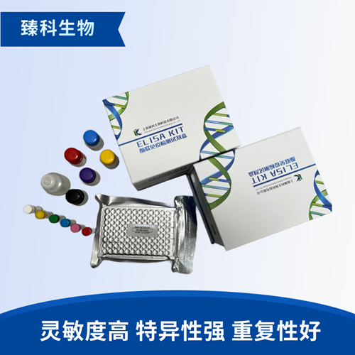 大鼠糜蛋白酶(chymotrypsin）elisa试剂盒