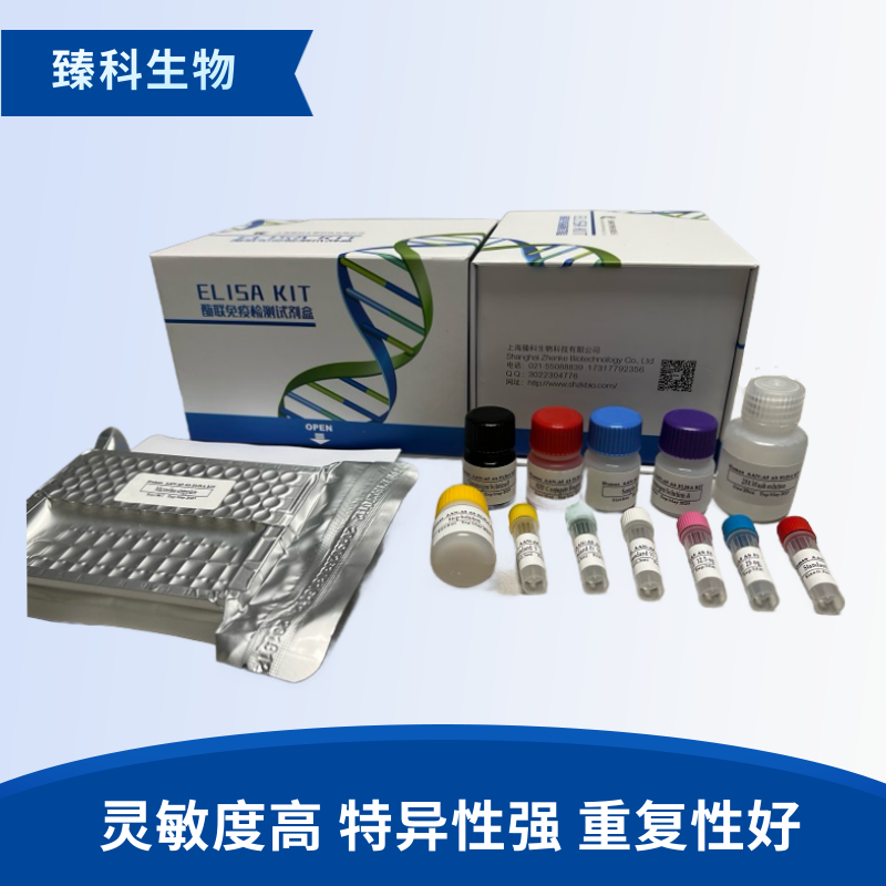 人结缔组织活化肽Ⅲ(CTAPⅢ）elisa定量试剂盒