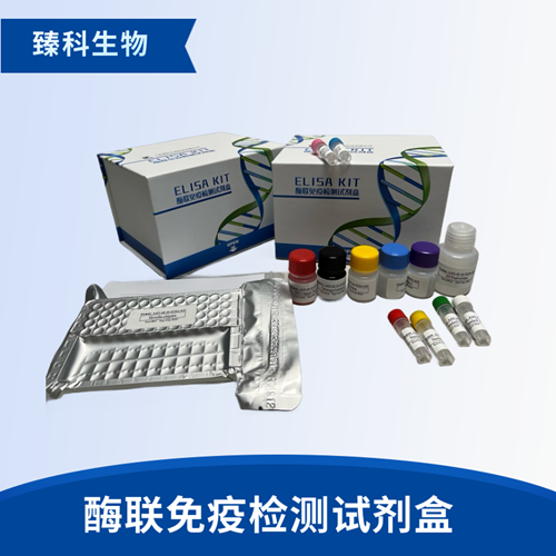 人胶原酶I(Collagenase I）elisa定量试剂盒