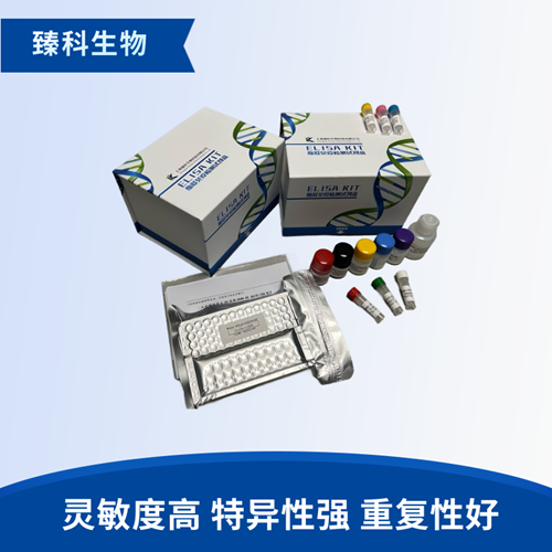 大鼠磷酸化AKT蛋白(p-AKT）elisa试剂盒