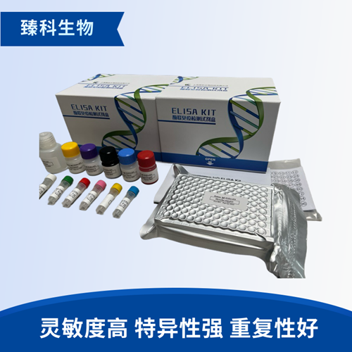 人胶原酶II(Collagenase II）elisa定量试剂盒