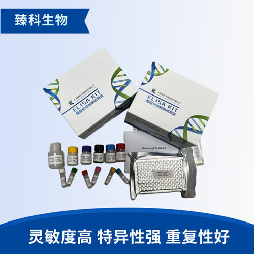 人降钙素(CT）elisa定量试剂盒