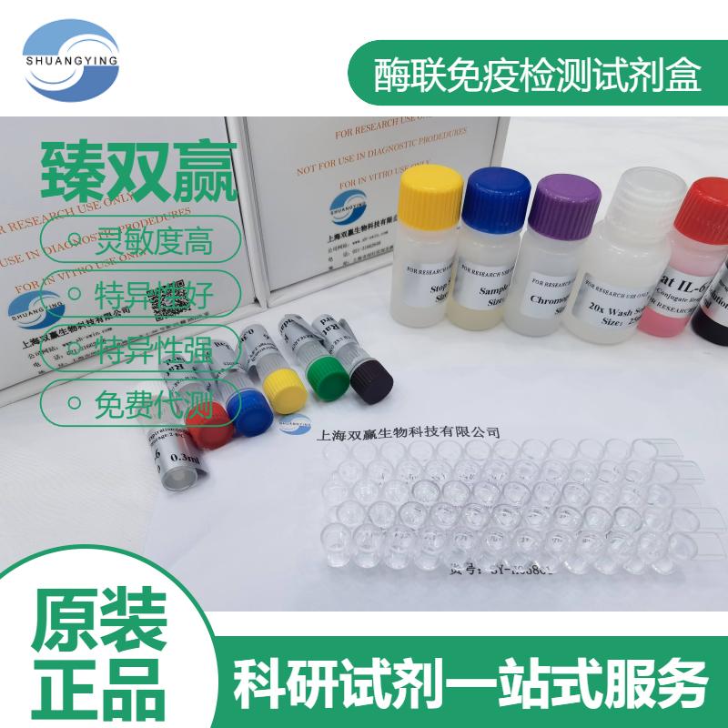 人成纤维细胞生长因子13(FGF-13)ELISA试剂盒