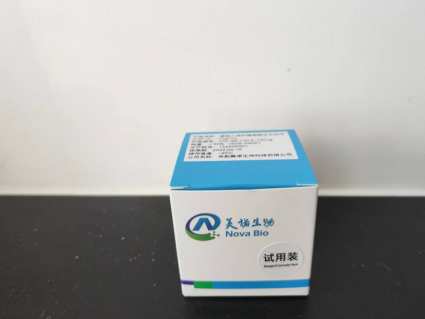 重组人成纤维细胞生长因子