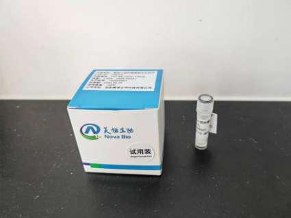 重组人成纤维细胞生长因子