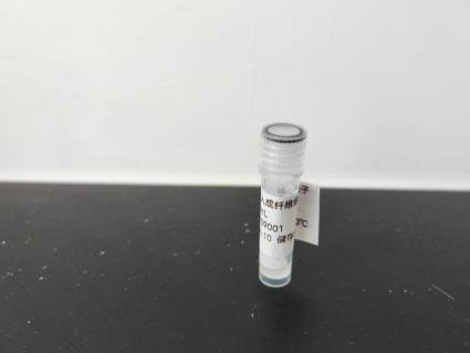 重组人成纤维细胞生长因子