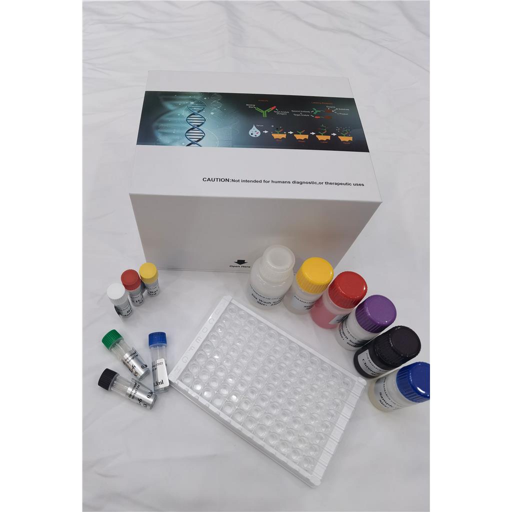 人线粒体呼吸链复合物I(NADHD-I)ELISA试剂盒