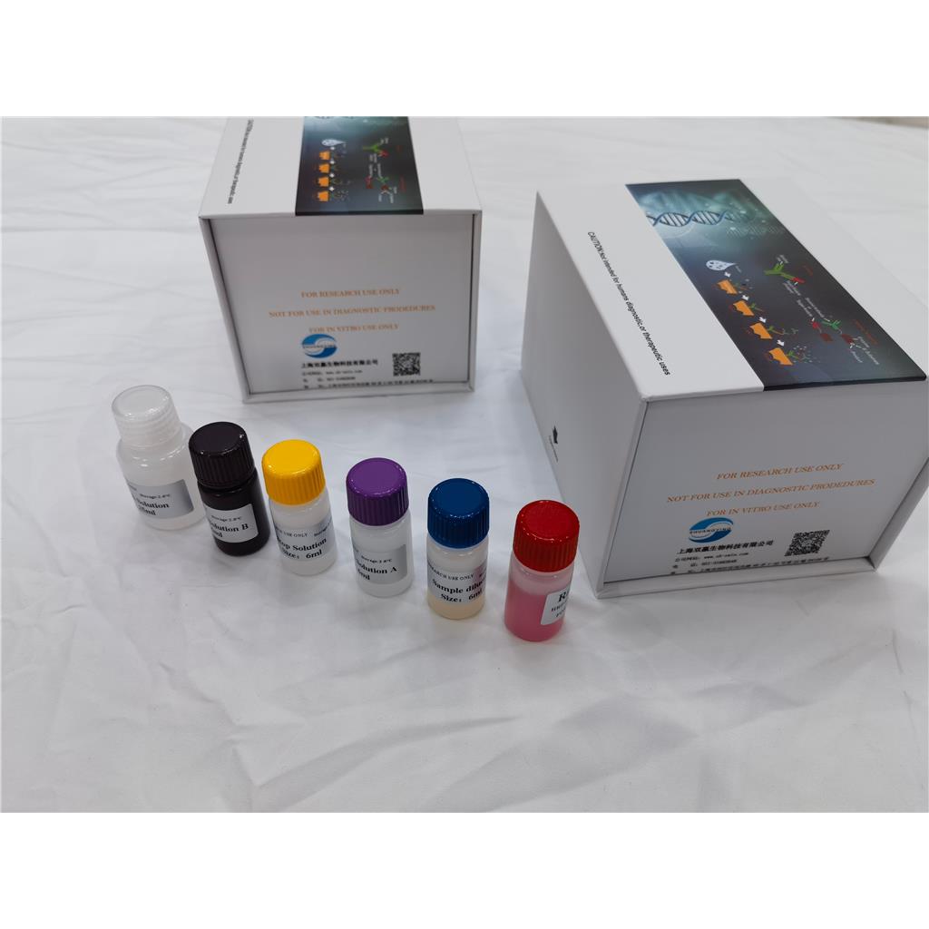 人低氧诱导因子(HIF)ELISA试剂盒