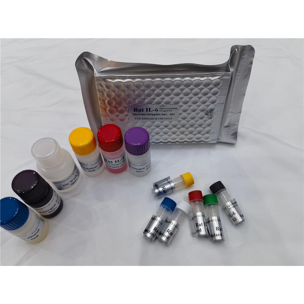 人转化蛋白RhoA-GTP(RhoA-GTP)ELISA试剂盒