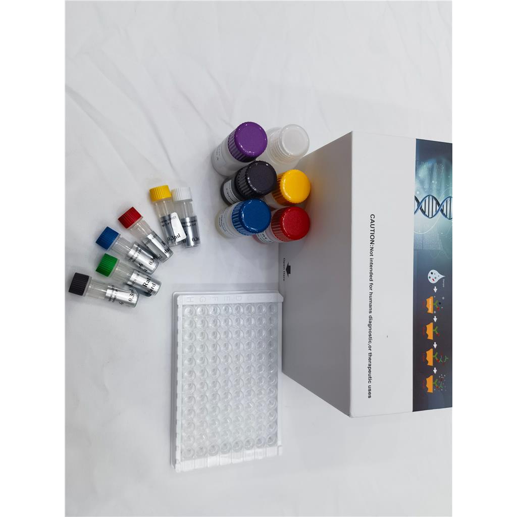 人JAGGED1蛋白(Jagged1)ELISA试剂盒