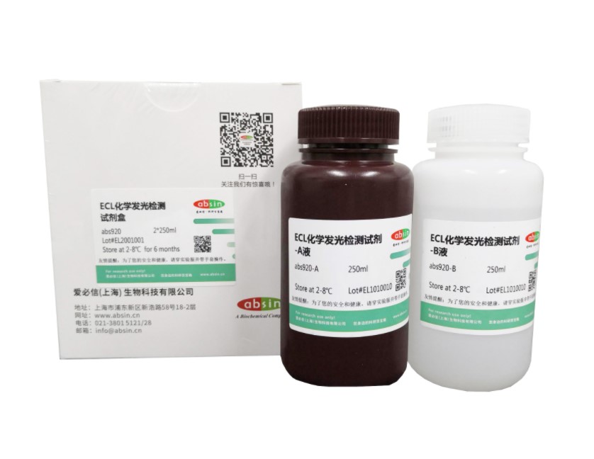 ECL化学发光检测试剂盒