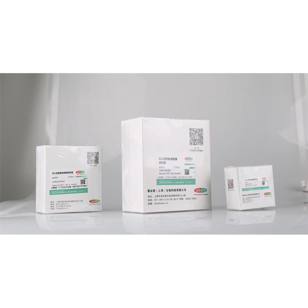 ECL化学发光检测试剂盒