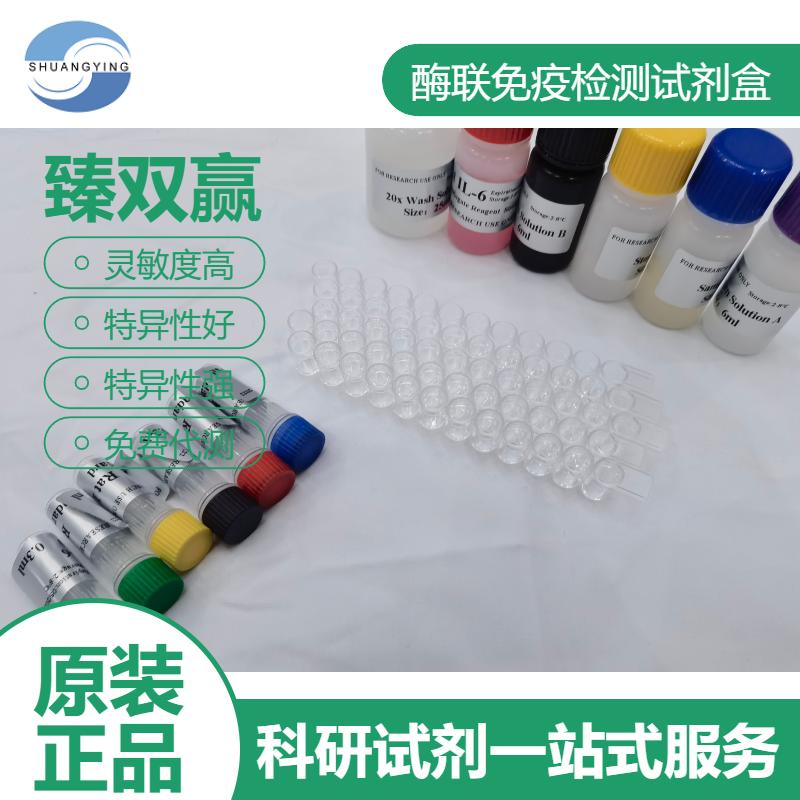 人钙蛋白酶1(Calpain1)ELISA试剂盒