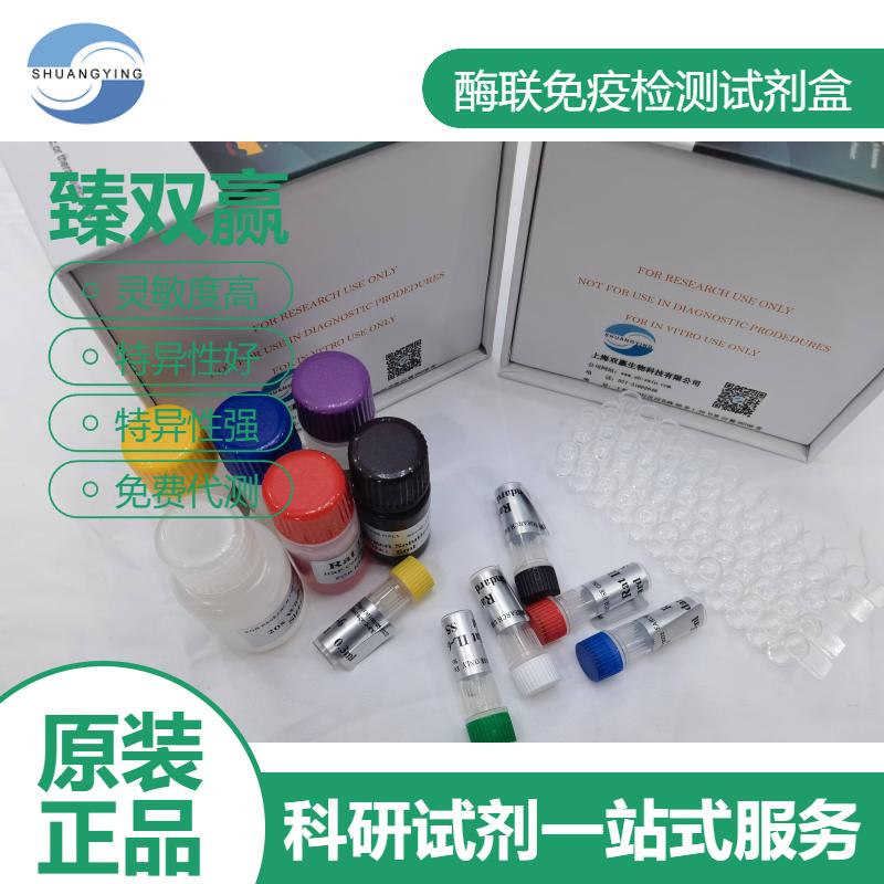 人ARHGAP4(ARHGAP4)ELISA试剂盒