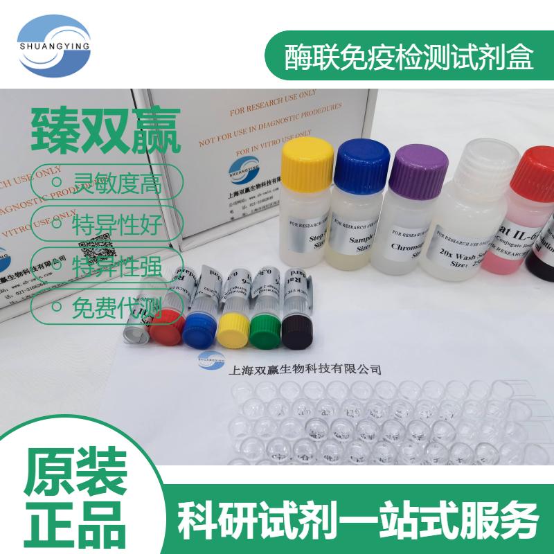 人RHOG(RHOG)ELISA试剂盒