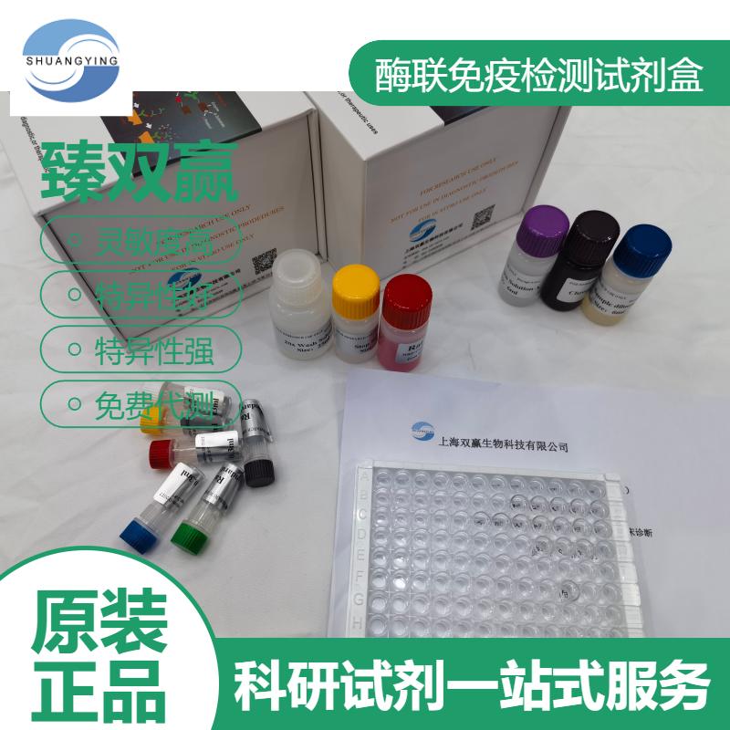 人RHOG(RHOG)ELISA试剂盒