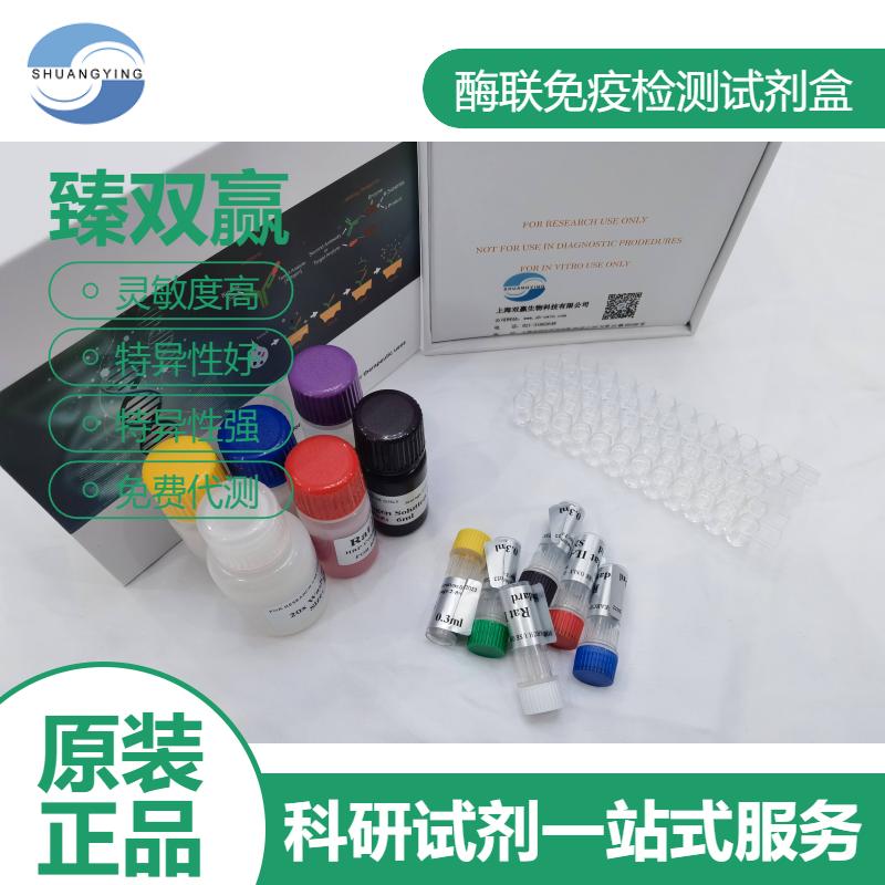 人胱硫醚β-合成酶(CBS)ELISA试剂盒