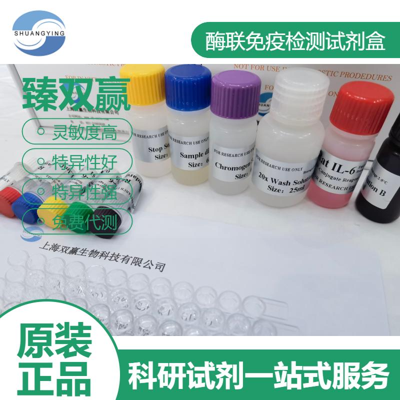 人N钙黏蛋白/神经钙黏蛋白(N-Cad)ELISA试剂盒