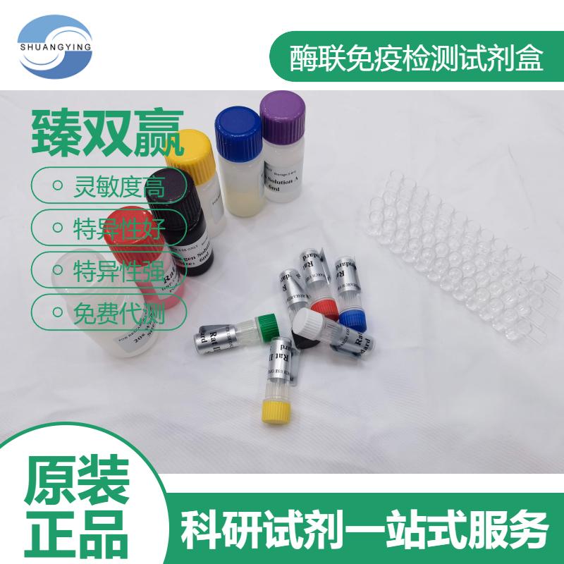 人B淋巴细胞抗原(CD20； B-lym)ELISA试剂盒