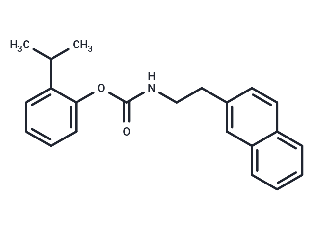 化合物 JW 480|T22883|TargetMol
