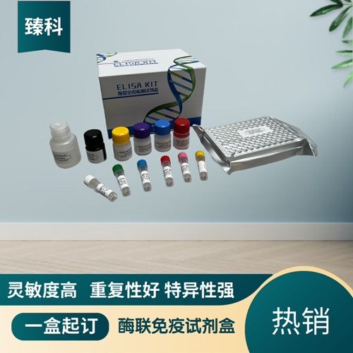 人碱性成纤维细胞生长因子4(bFGF-4）elisa定量试剂盒
