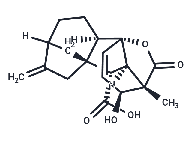 赤霉素GA7|TMM2618|TargetMol