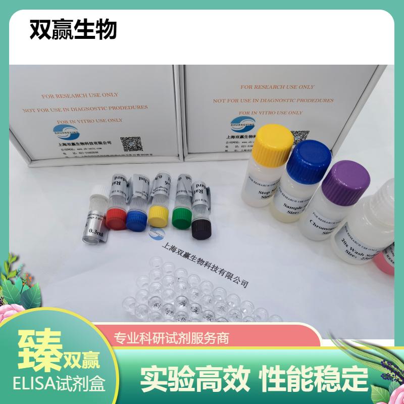 人小而密低密度脂蛋白胆固醇(sdLDL-C)ELISA试剂盒