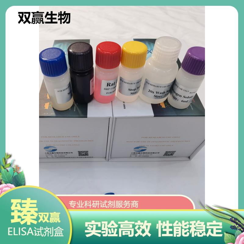 人C1q肿瘤坏死因子相关蛋白5(CTRP5)ELISA试剂盒