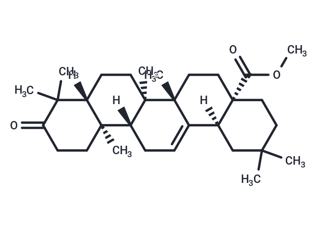 3-KETO-齐墩果酸-28-甲酯|TN7060|TargetMol