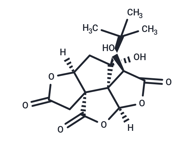 白果内酯|T2808