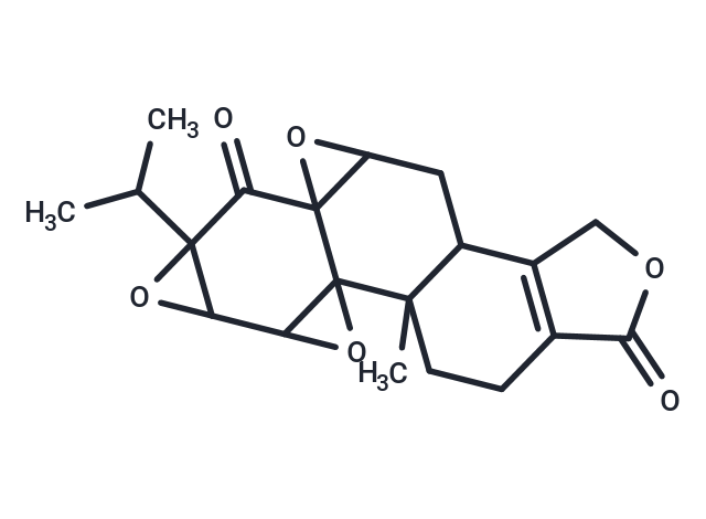 雷公藤内酯酮|T5S1058|TargetMol