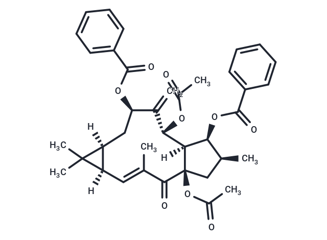 大戟因子L2|T5798|TargetMol