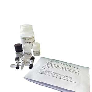 磷酸烯醇式丙酮酸羧化酶(PEPC)测定试剂盒/紫外比色法/48样