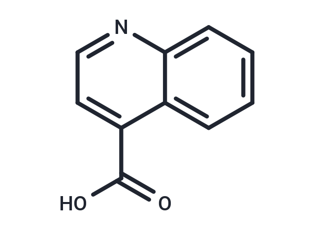 化合物 4-Carboxyquinoline|T4745